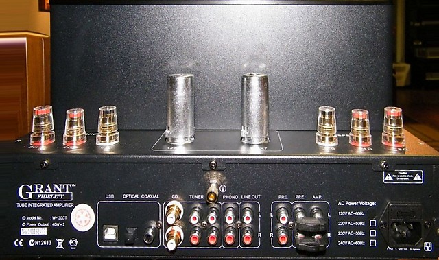 Grant Fidelity W-30GT integrated amplifier, rear view