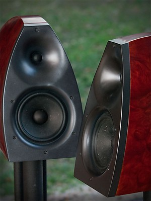 Vapor Audio Aurora in Pelin Burl buffed satin